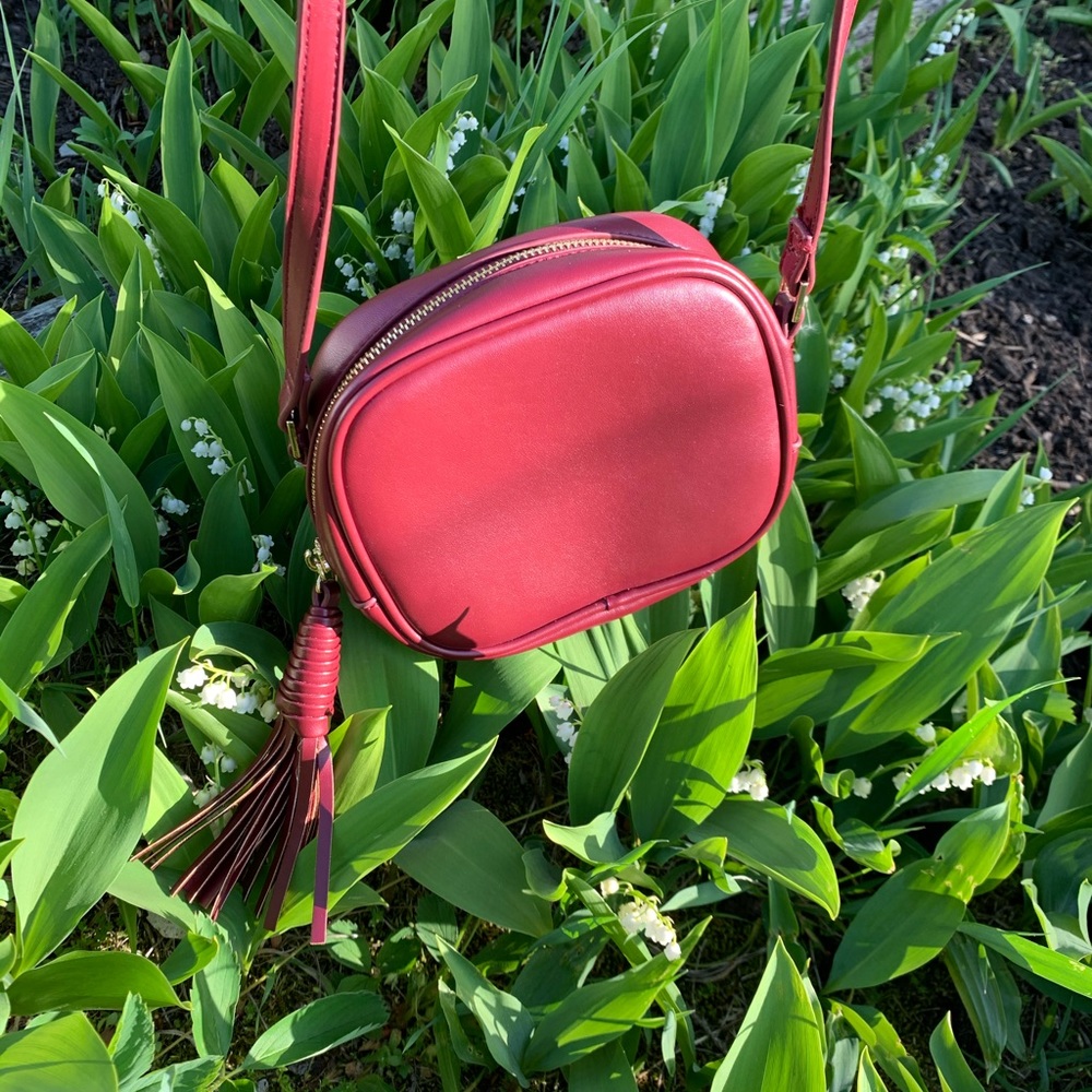 XII | Mini Crossbody - Picture 4 of 13